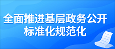 全面推進基層政務公開標準化規范化